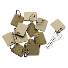 Extra Blank Hook &amp; Loop Tags, Security-Backed, 1 1/8 x 1,