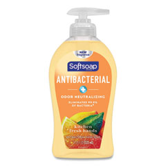 Antibacterial Hand Soap, Citrus, 11 1/4 oz Pump